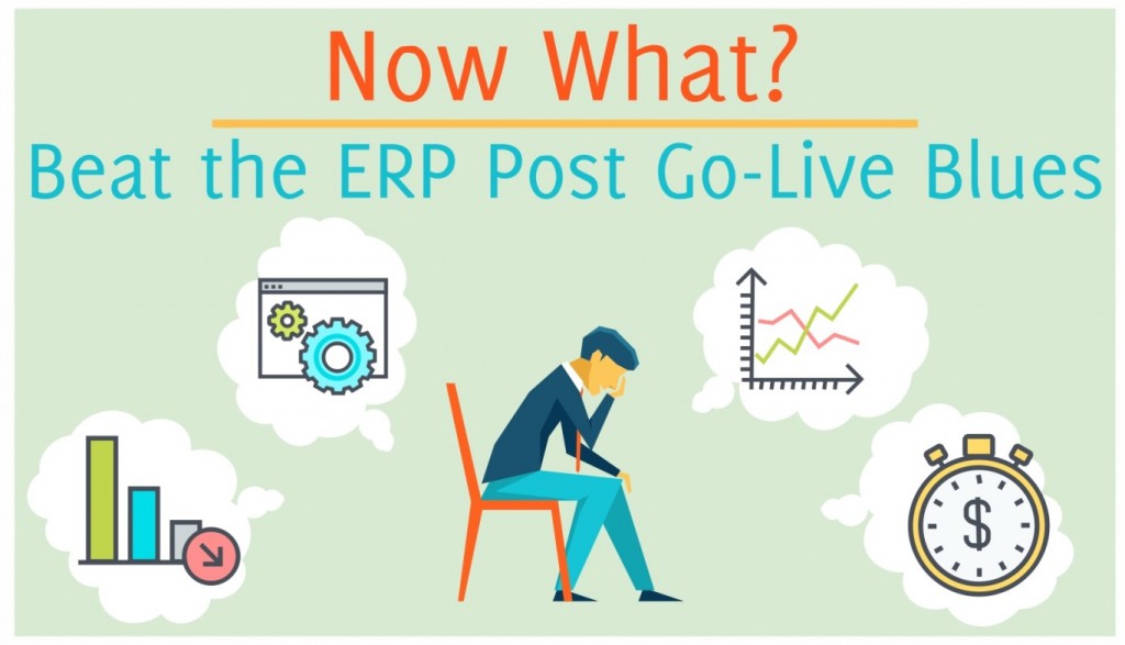now-what-how-to-beat-the-erp-post-go-live-blues%e8%af%91%e6%96%87