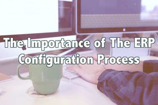 The Importance Of The ERP Configuration Process译文